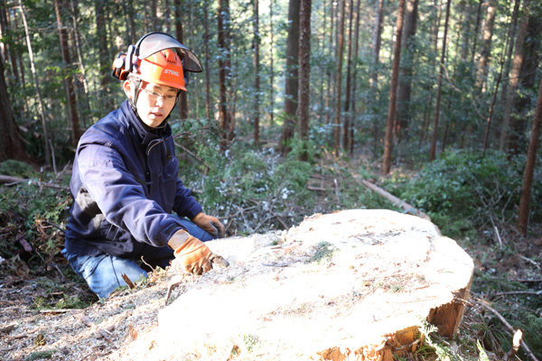 大径木の年輪を指差しながら